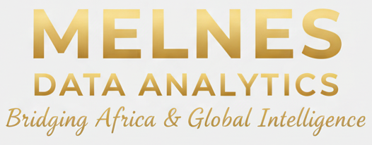 Melnes Data Analytics